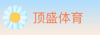 顶盛体育 logo